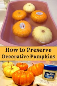 preserve-pumpkins